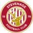 斯蒂文尼奇